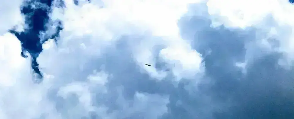 Imagen de la actividad Trekking al Mirador del Cóndor - Imagen 7