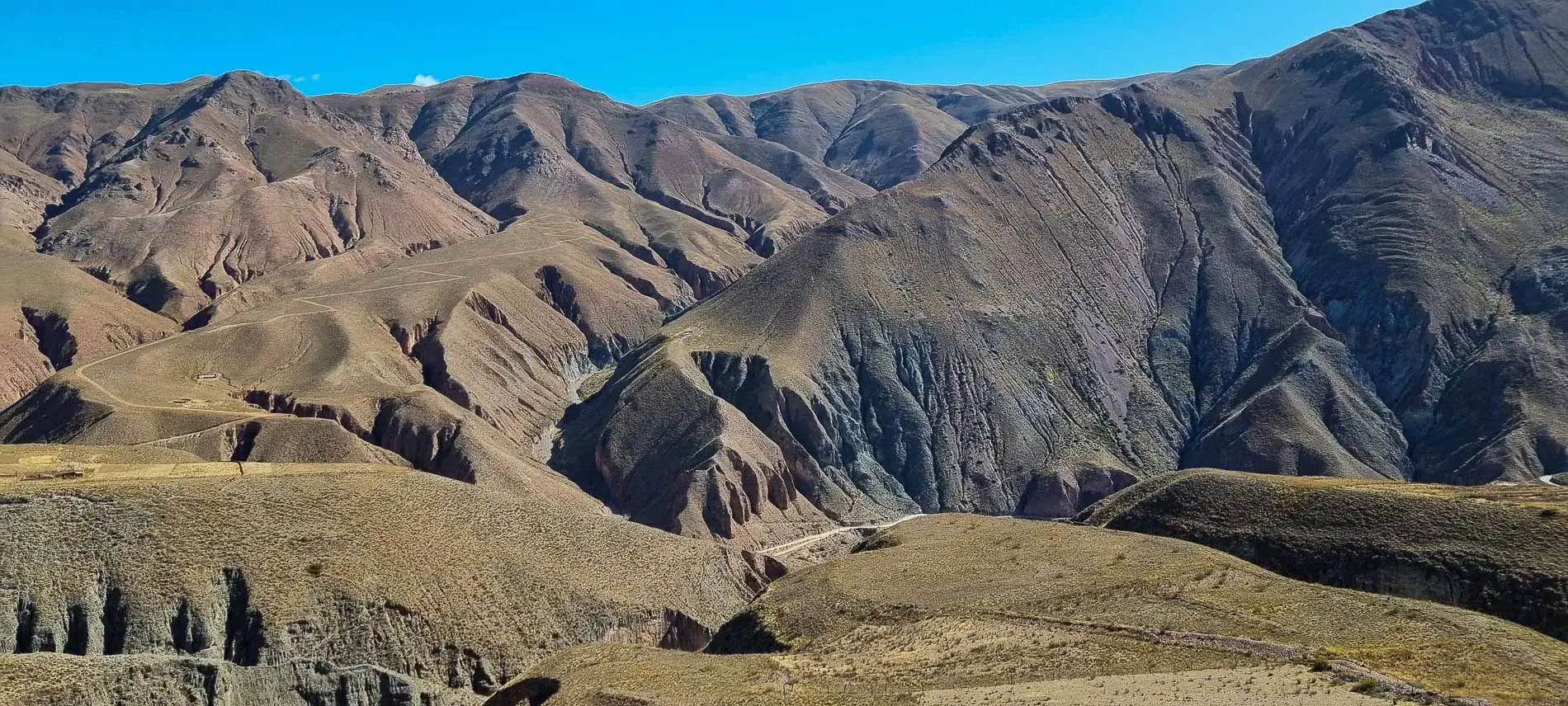 Sandwicheria El Gatito - Imagen 4